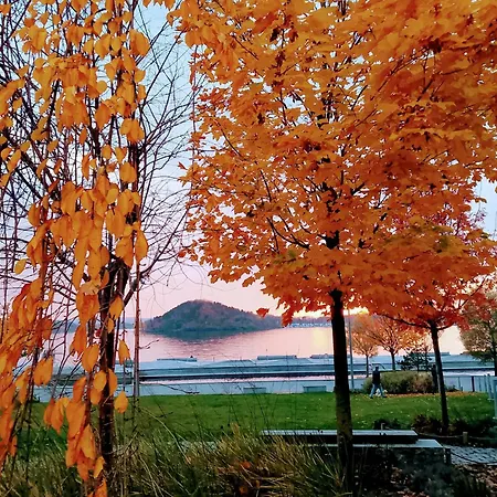 In Seaview By Station *